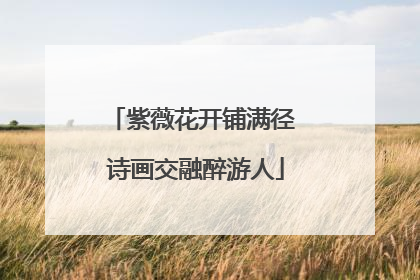 紫薇花开铺满径 诗画交融醉游人